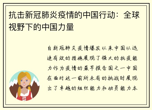 抗击新冠肺炎疫情的中国行动：全球视野下的中国力量